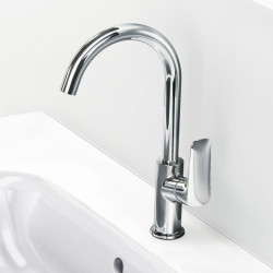 Virtuvinis (plautuvės) maišytuvas HANSGROHE Logis 71130000