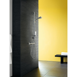 Termostatinis maišytuvas dušui HANSGROHE Ecostat Comfort, 13116000